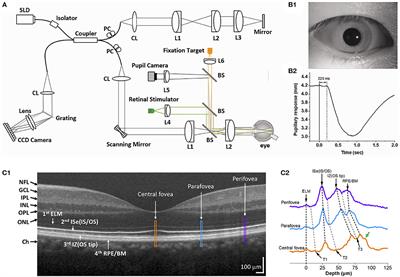 Functional Optical Coherence Tomography for Intrinsic Signal Optoretinography: Recent Developments and Deployment Challenges